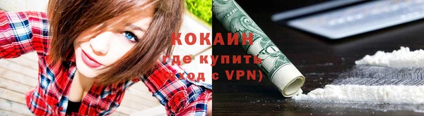 ПСИЛОЦИБИНОВЫЕ ГРИБЫ Богданович