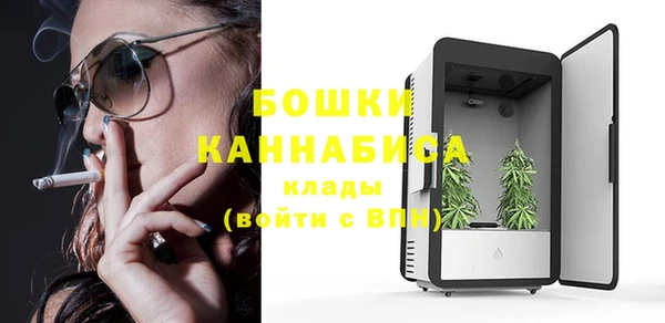 ПСИЛОЦИБИНОВЫЕ ГРИБЫ Богданович