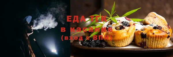 ПСИЛОЦИБИНОВЫЕ ГРИБЫ Богданович