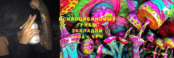 гашик Богородицк