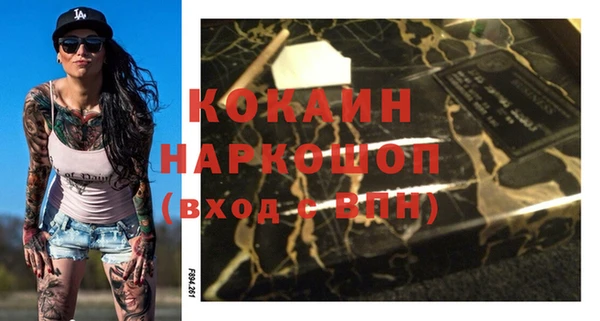 ПСИЛОЦИБИНОВЫЕ ГРИБЫ Богданович