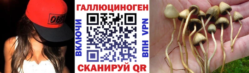 цены   Карталы  Псилоцибиновые грибы Magic Shrooms 